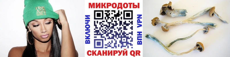 Галлюциногенные грибы MAGIC MUSHROOMS  купить наркотик  Старая Купавна 